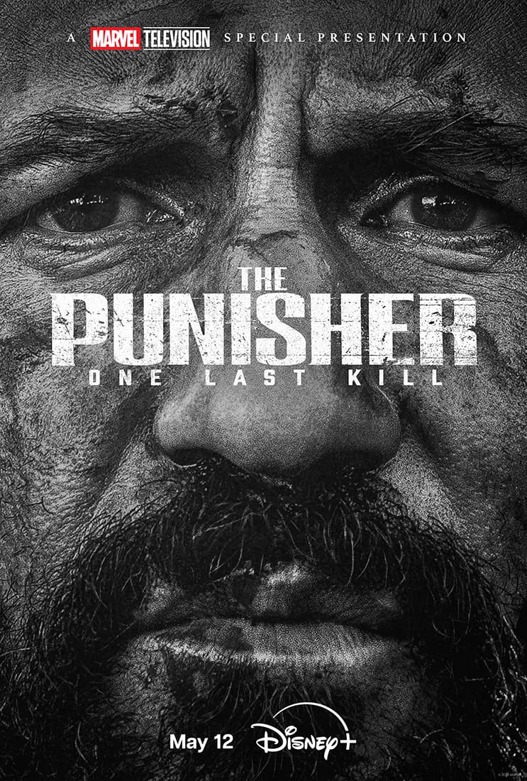 The Punisher: One Last Kill